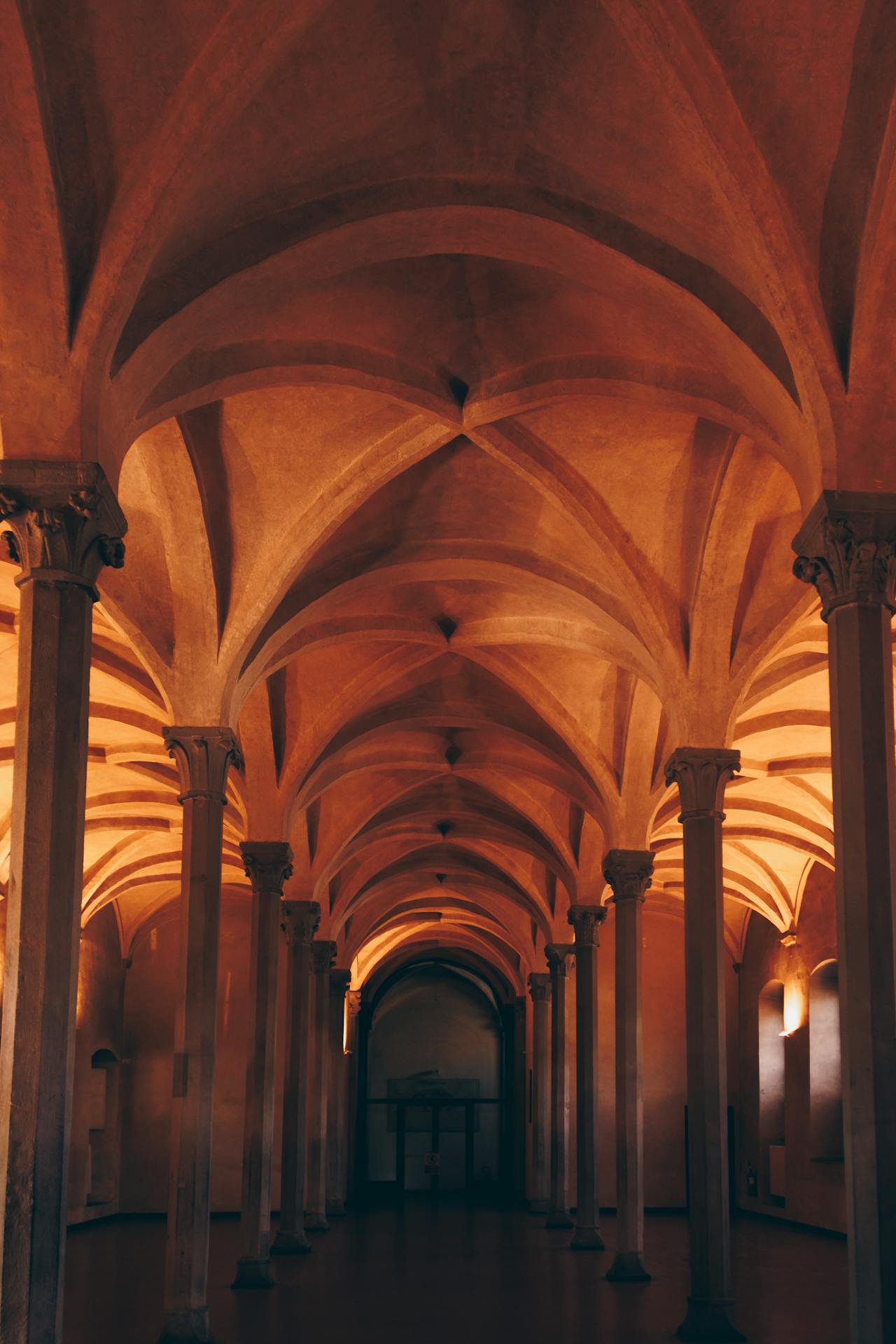 City Introduces Rooftop Gardens to Combat Heatwaves