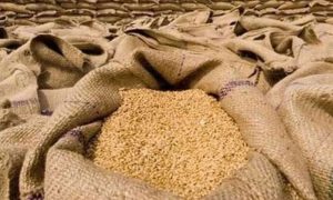 پنجاب اور خیبرپختونخوا میں گندم کی قیمتوں میں اضافہ، آٹے کی قیمتیں نسبتاً مستحکم